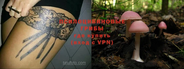 шишки Алексин