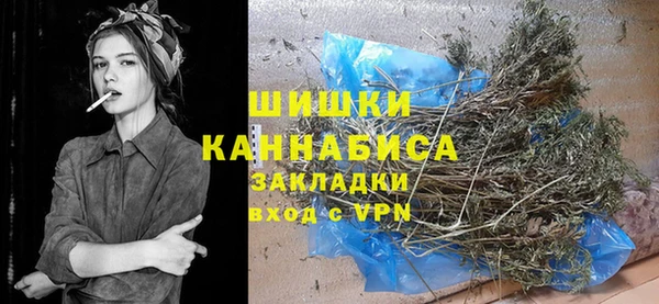 дмт Осташков